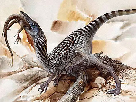 находка палеонтология ученые артефакты забайкалье экспедиция сенсация юрский период приамурье динозавры